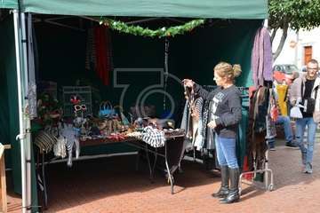 Día del Artesano y Labrador en Jinámar (Foto TA)